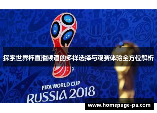 探索世界杯直播频道的多样选择与观赛体验全方位解析