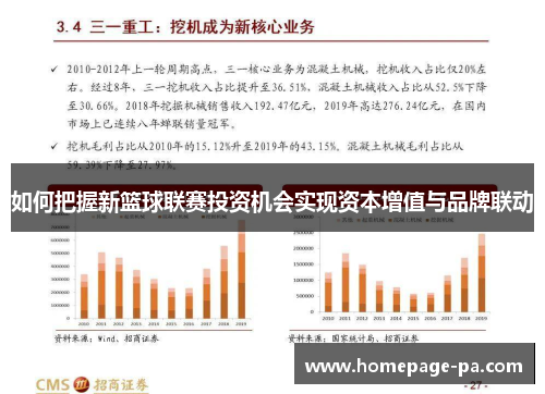 如何把握新篮球联赛投资机会实现资本增值与品牌联动