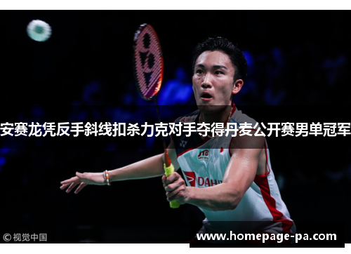 安赛龙凭反手斜线扣杀力克对手夺得丹麦公开赛男单冠军