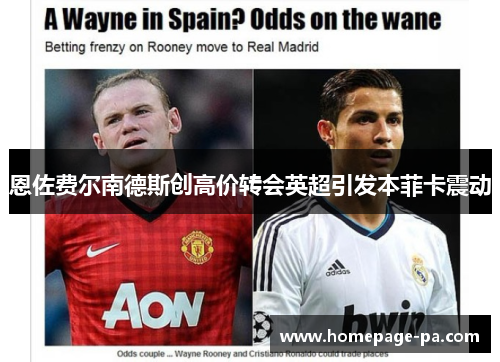 恩佐费尔南德斯创高价转会英超引发本菲卡震动 恩佐费尔南德斯创高价转会英超引发本菲卡震动