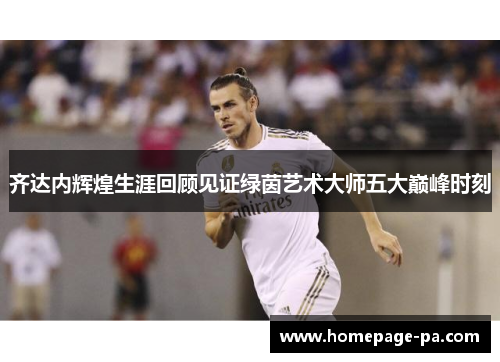 齐达内辉煌生涯回顾见证绿茵艺术大师五大巅峰时刻