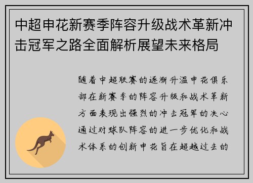 中超申花新赛季阵容升级战术革新冲击冠军之路全面解析展望未来格局